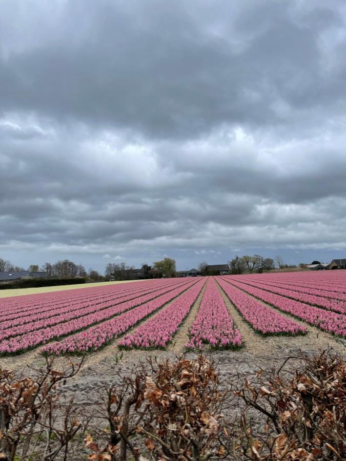 Paradijs Eiland Hillegom Kültér fotó