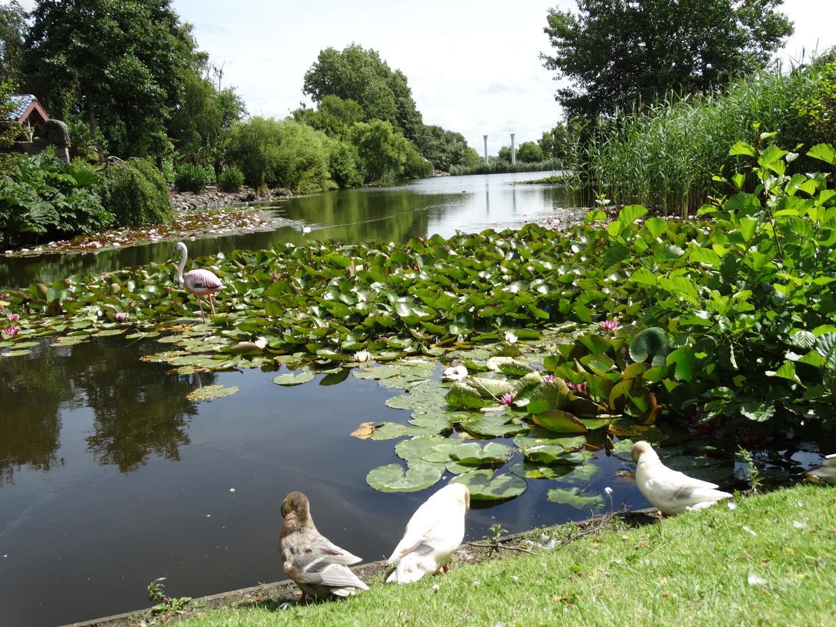 Paradijs Eiland Hillegom Kültér fotó
